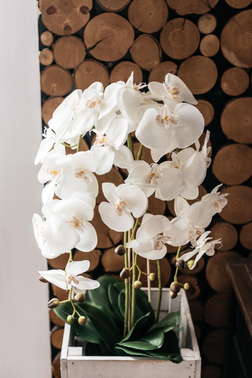 Miodowa By Loft Affair *